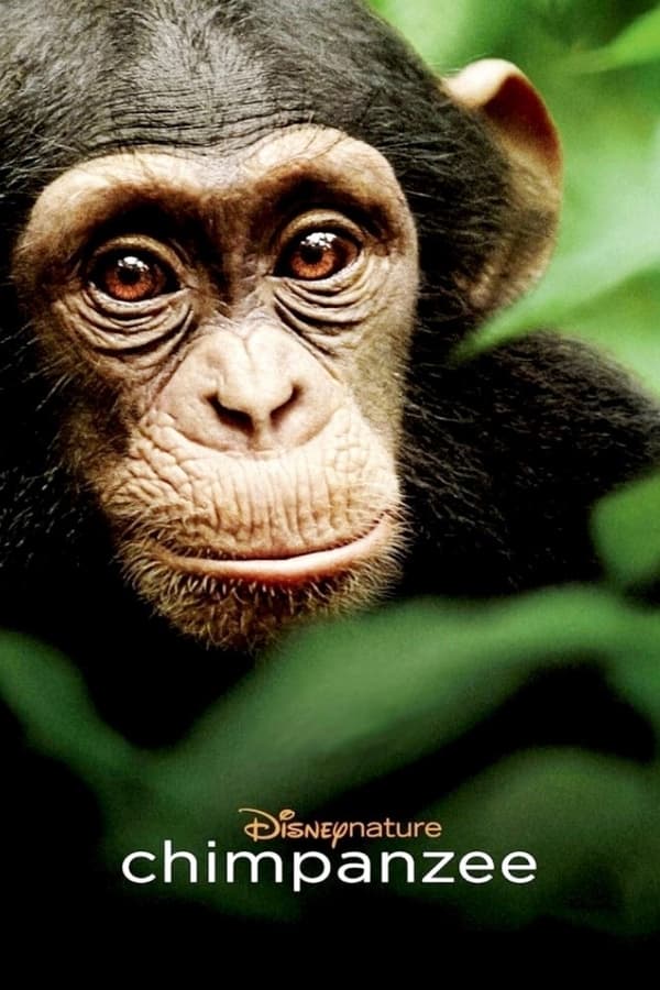 دانلود فیلم Chimpanzee