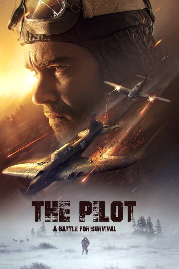 دانلود فیلم خلبان نبردی برای بقا The Pilot. A Battle for Survival با زیرنویس فارسی